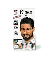 Bigen EZ Color for Men Real Black Permanent